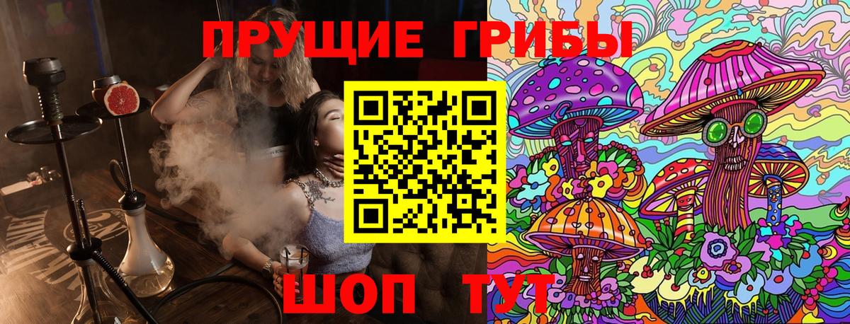 Псилоцибиновые грибы мицелий Тихвин