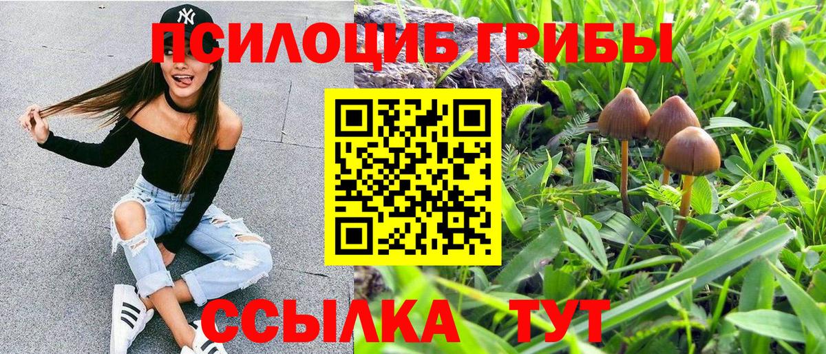 Тихвин  Галлюциногенные грибы прущие грибы  Псилоцибиновые грибы мухоморы  Вход с VPN 